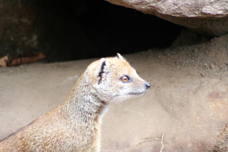 Killikus&reg; Fotographie